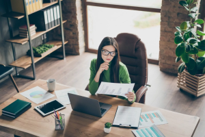 Modern Day Challenges in the Auditing Profession